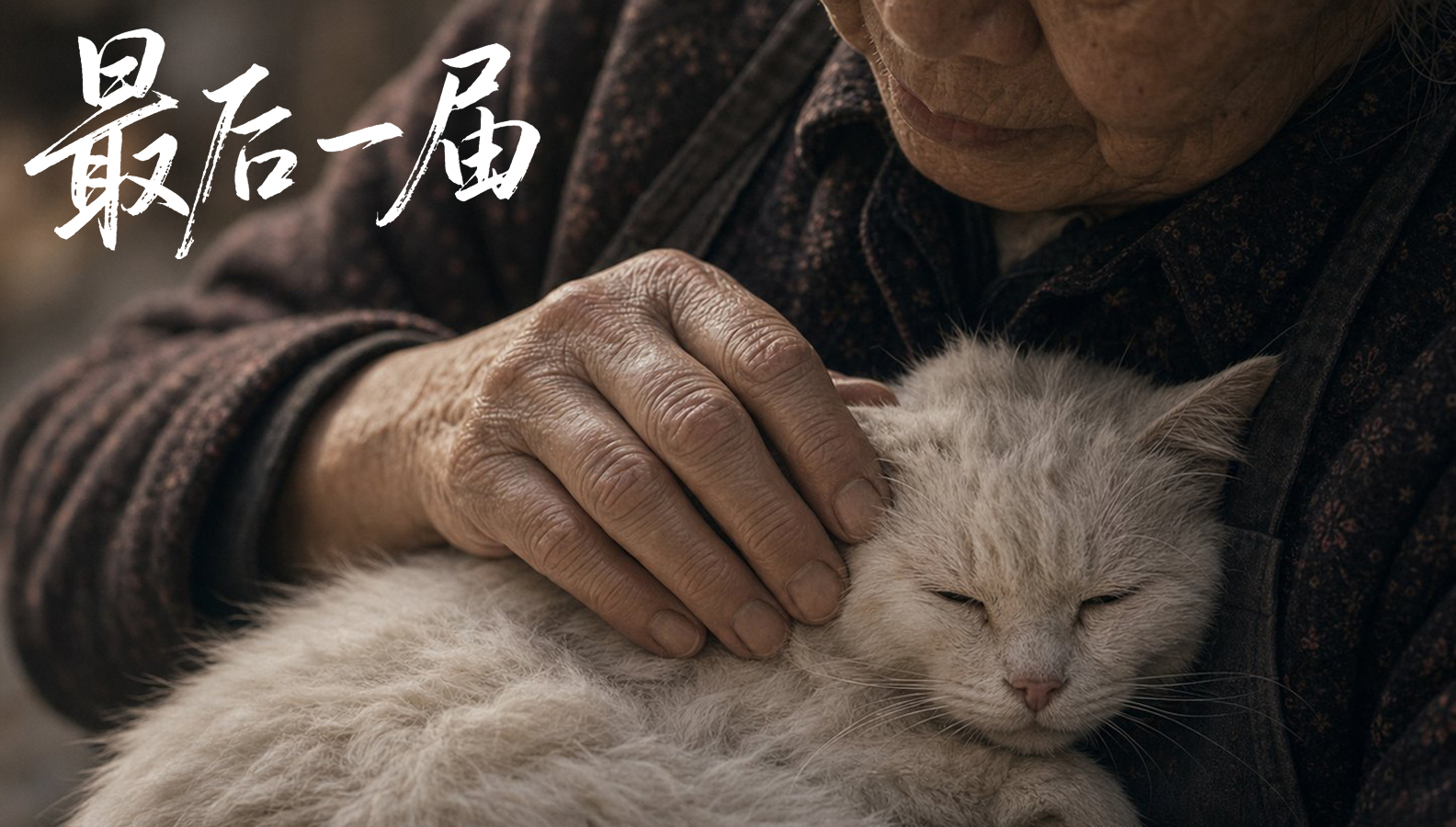 最后一届